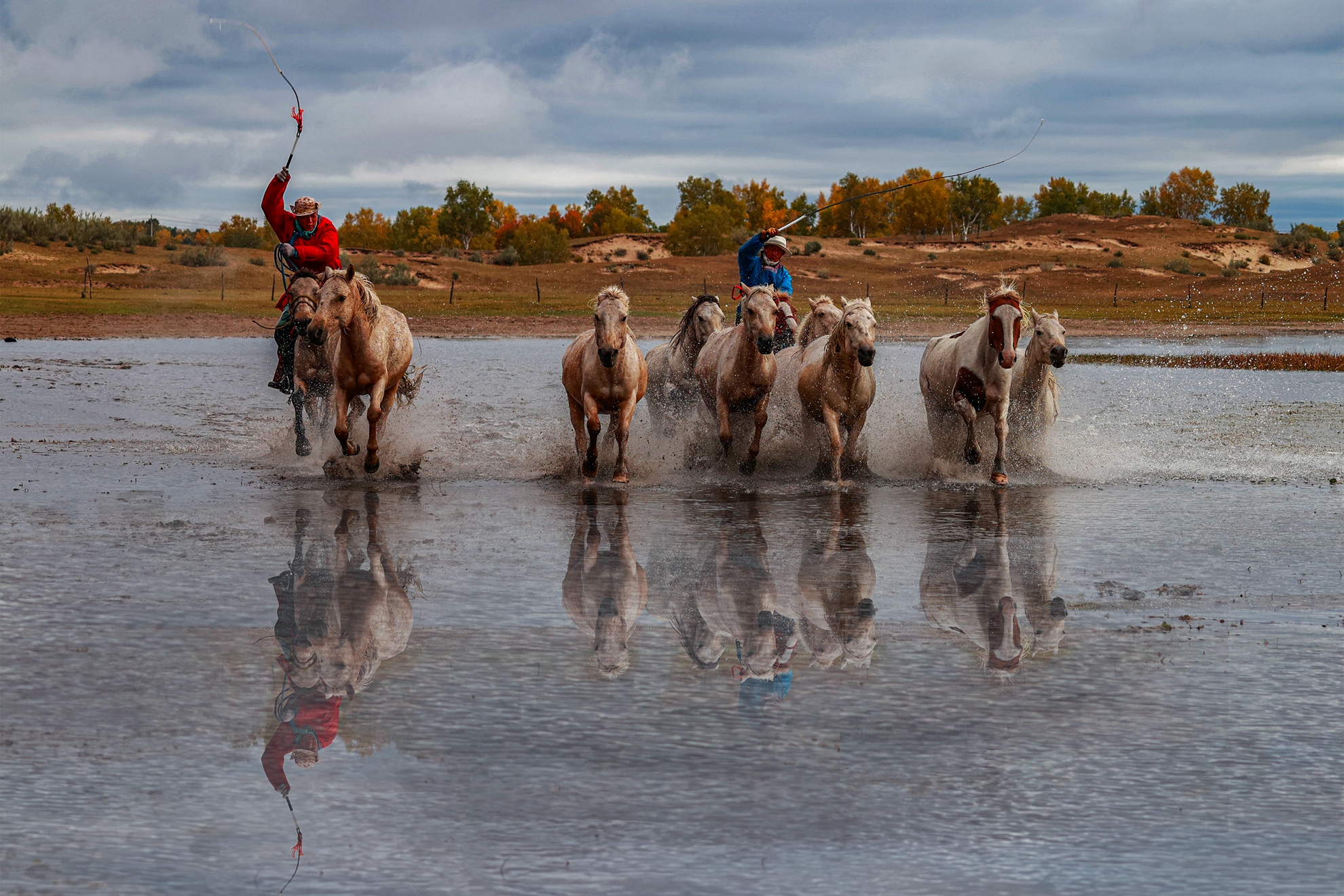 12月-入選-楊清福-壩上奔馬 (2)